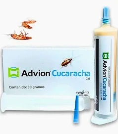 Asesoría especializada